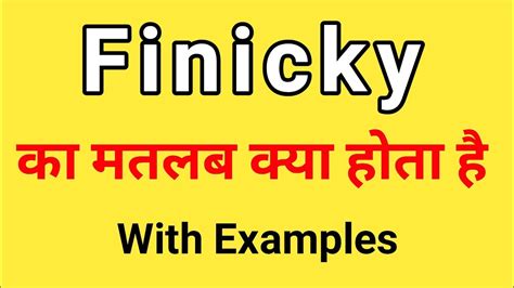 finicky meaning in hindi